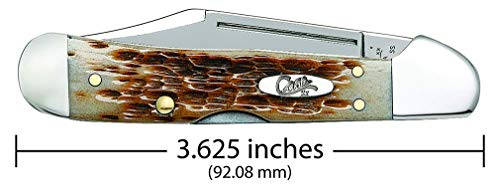 Case XX WR Mini Copperlock Pocket Knife Amber Bone 2.7-inch Lockback with Shield