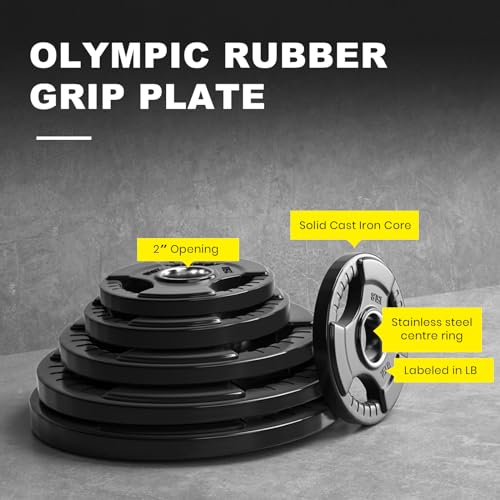 LIONSCOOL 10LB Pair Olympic Rubber-Coated Cast Iron Weight Plates, 2-Inch Fit