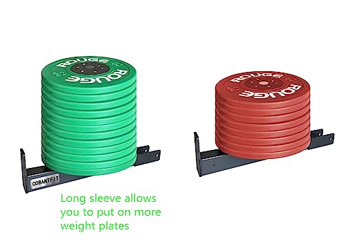 14-Inch Post Length Belt Squat Attachment for Power Racks 2-Inch Weight Plate Hole
