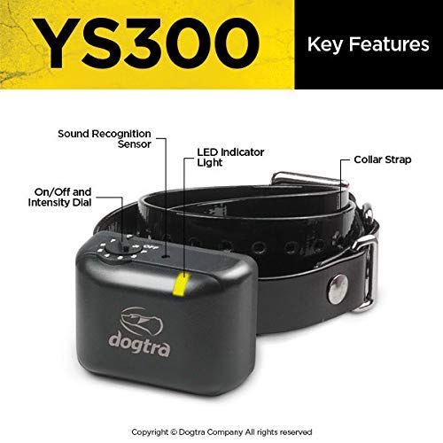 Dogtra YS300 No Bark Collar for Small & Medium Dogs 10 lbs Up Rechargeable Waterproof