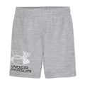 Under Armour Boys' Performance Tech Shorts - Steel Tech Logo, 7 Inch