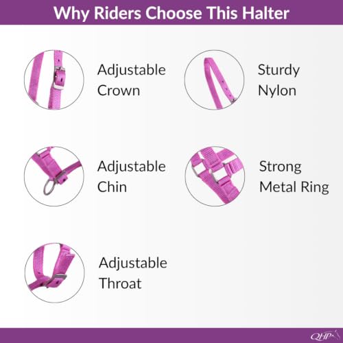 Pony Pink Nylon Foal Halter Adjustable Horse Tack - Grow With Your Horse
