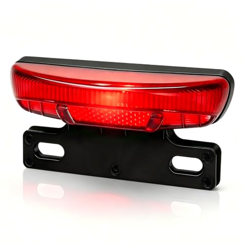Electric Bicycle Rear Light with Turn Signal 36-60V Waterproof Tail Lamp