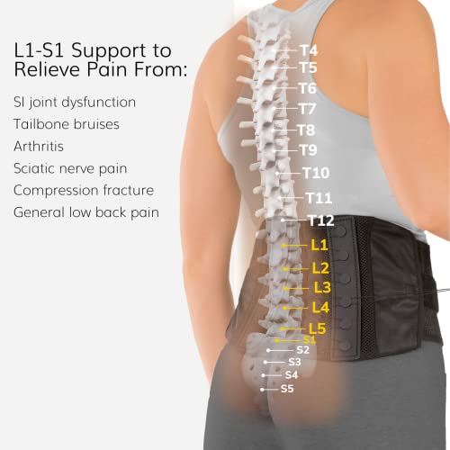 Adjustable Lumbar Support Belt for Lower Back Pain Relief, Fits 28-60" Waist