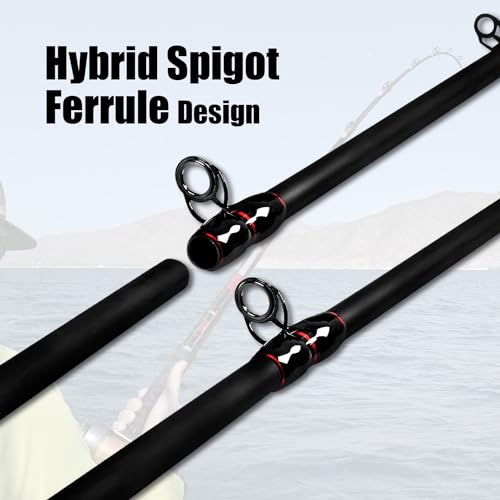 Fiblink 10' Surf Casting Baitcasting Fishing Rod - 2-Piece Carbon Fiber Travel