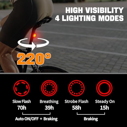 Rechargeable Bicycle Back Light with 4 Light Modes and Dual Mounting Options - Bike Tail Light