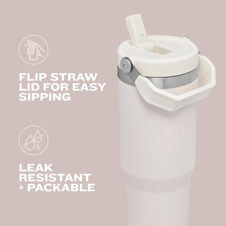 Stanley IceFlow 2.0 Tumbler - 20 oz Insulated Water Bottle with Flip Straw & Handle | Meadow Color
