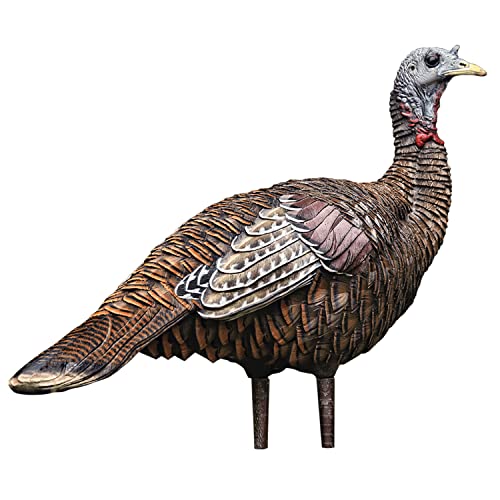 Avian-X LCD Lookout Hen Turkey Decoy - Solid Variation, Realistic Hunting Decoy