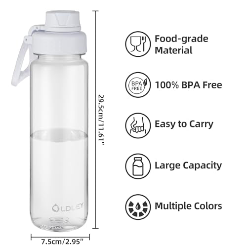 Oldley 32 oz Transparent Water Bottle with Handle & Spout Lid - BPA Free Sports Bottle