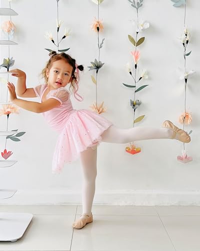 Toddler Ballet Shoes for Girls - Soft Leather Split Sole - Pink, 3 Big Kid