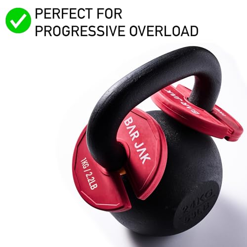 1kg Micro Weight Plates Set - Fractional Dumbbell & Kettlebell Weights for Strength Training