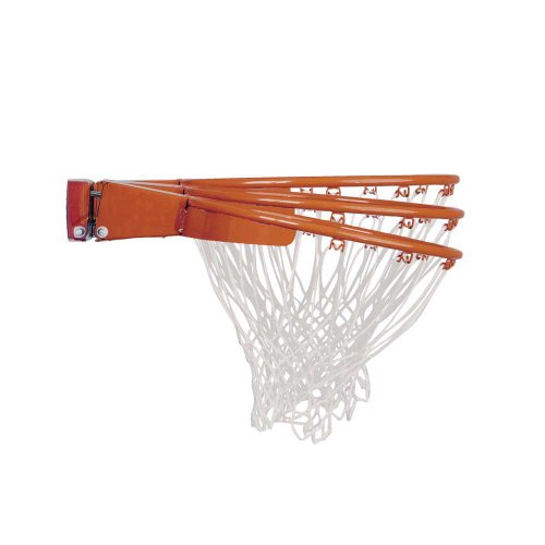 Lifetime Slam-It Pro 18-Inch Basketball Rim - Heavy-Duty Steel, Spring-Back Action