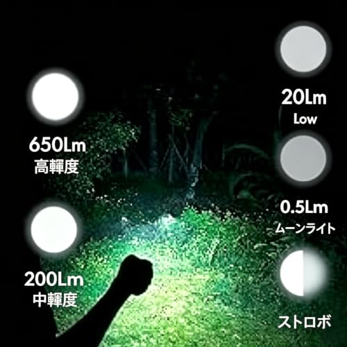 Rechargeable USB C Keychain Flashlight 650 Lumens Outdoor Mini EDC Light - Orange