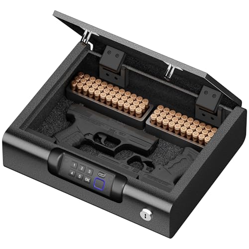 BILLCONCH 10x12 Black Biometric Gun Safe for Pistols & Valuables