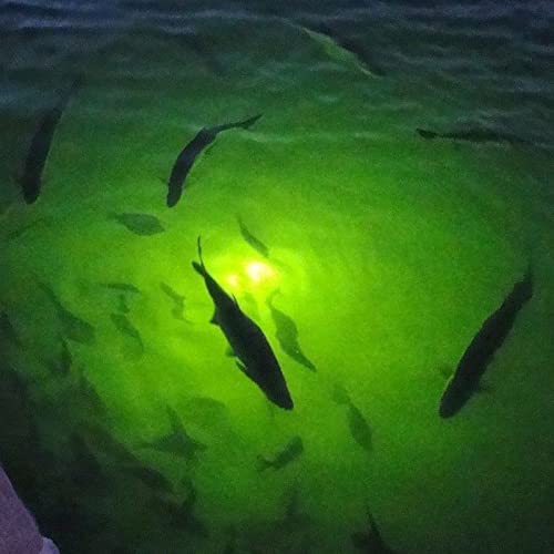 45W Waterproof Underwater Fishing Light - Green, 17ft Wire, Battery Clips
