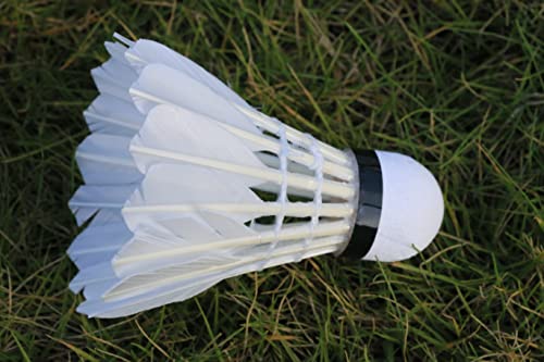 12 Pack Feather Badminton Shuttlecocks – Durable Birdies for Indoor & Outdoor Training