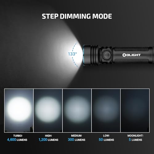 Rechargeable LED Flashlight with Holster – High Lumens, Waterproof, Black, Variations of Cool White