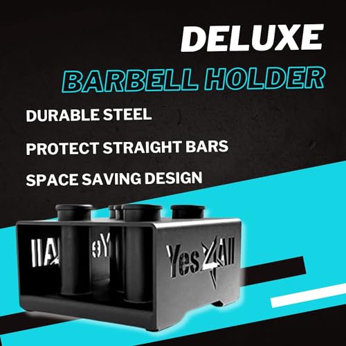 Black Vertical Barbell & Dumbbell Storage Rack for Home Gym - 2-Inch Olympic & Curl Bars