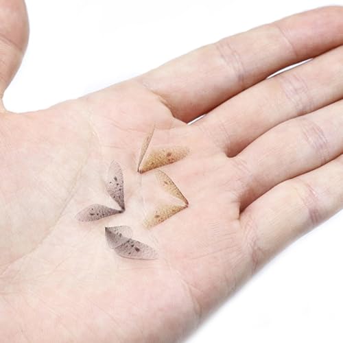 120pcs Fly Fishing Tying Materials Insect Wing Set for Trout DIY