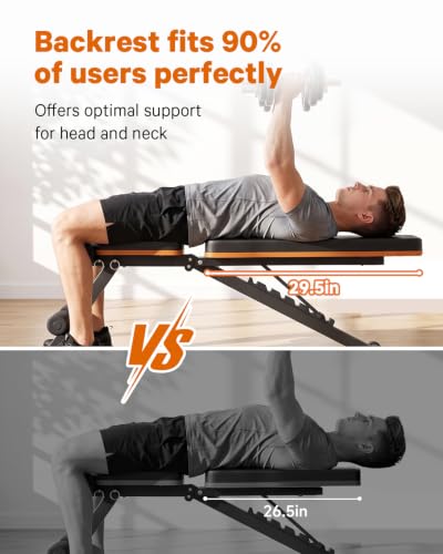Adjustable Heavy-Duty Workout Bench with 660LBS Capacity, Foldable Multi-Position Gym Bench for Home Strength Training