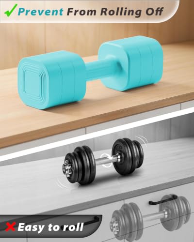 Ragebby 20lb Adjustable Dumbbell Set - Mint Blue, Fast Locking Weights for Home Workout