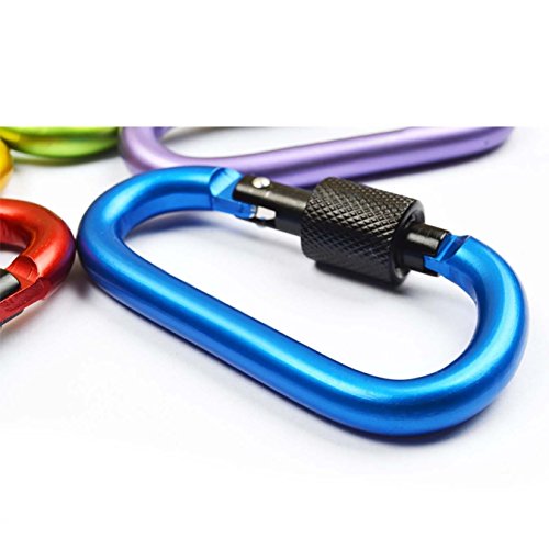 Aluminum Carabiner Keychain Locking D-Ring for Camping Hiking Travel - 10 PCS