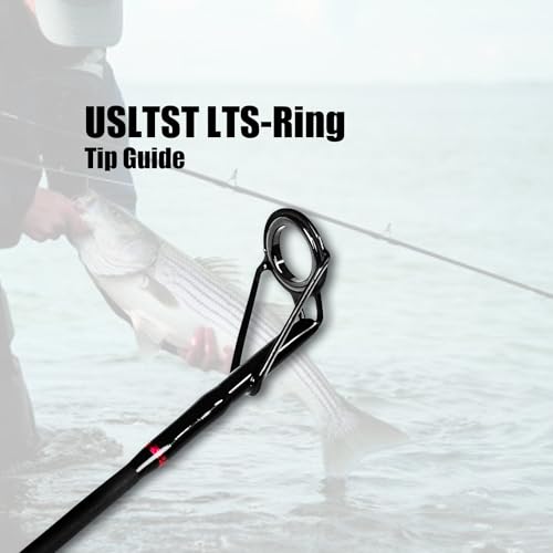 Fiblink 10' Surf Casting Baitcasting Fishing Rod - 2-Piece Carbon Fiber Travel