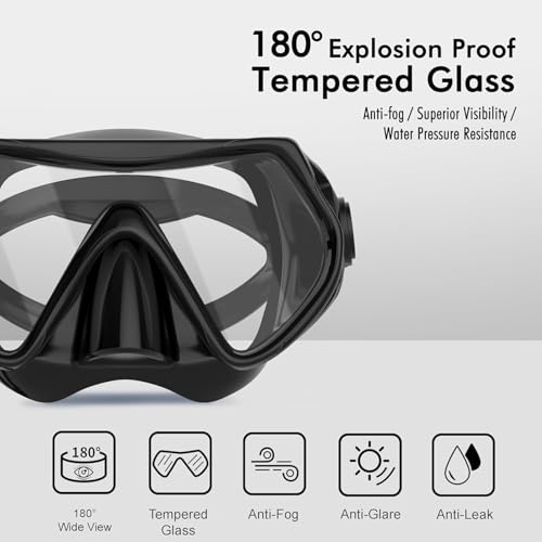 Adult Snorkeling Gear Set with Anti-Fog Goggles and Dry Snorkel - Black