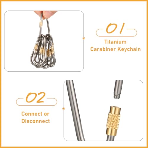 Skylety Mini Titanium Locking Clips - 20 Pack, D-Ring Keychain Buckles for Outdoor & Indoor Use, Lightweight & Durable