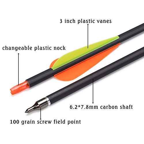6pcs 26 Inch Carbon Arrow Set with Removable Tips for Hunting & Target Practice