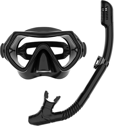 Adult Snorkeling Gear Set with Anti-Fog Goggles and Dry Snorkel - Black