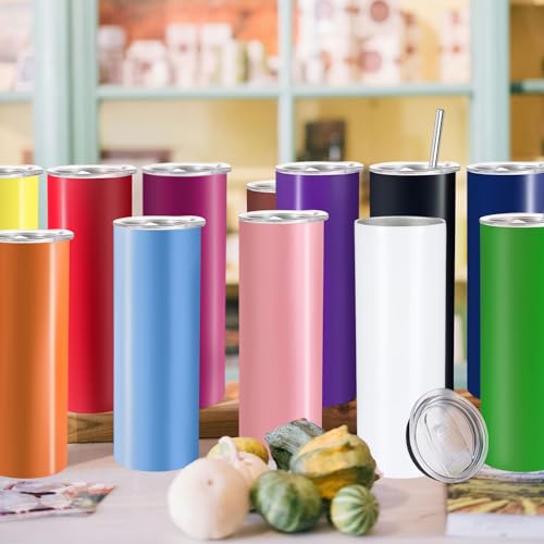 12 Pack Stainless Steel Insulated Tumblers 20oz with Lids & Straws