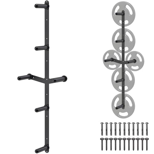 Kipika Wall Mount Weight Plate Rack with 4-Peg & 2-Weight Wing, 1200lb Capacity
