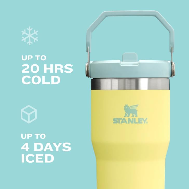 Stanley IceFlow 20 oz Flip Straw Tumbler - Insulated Stainless Steel Water Bottle | Leak Resistant | Azure