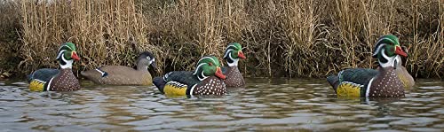 Waterfowl Decoys Set - Realistic Wood Duck Floater 6-Pack for Hunting