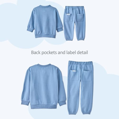Butterblu Terra 3T Organic Cotton Henley Sweatshirt & Jogger Set for Kids