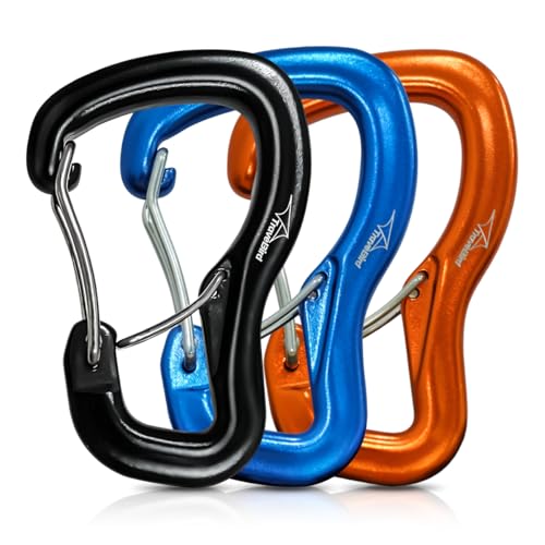 Rainbow Aluminum Keychain Carabiner Clips 2 Pack for Backpack Dog Leash