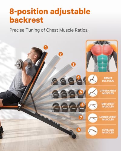 Adjustable Heavy-Duty Workout Bench with 660LBS Capacity, Foldable Multi-Position Gym Bench for Home Strength Training