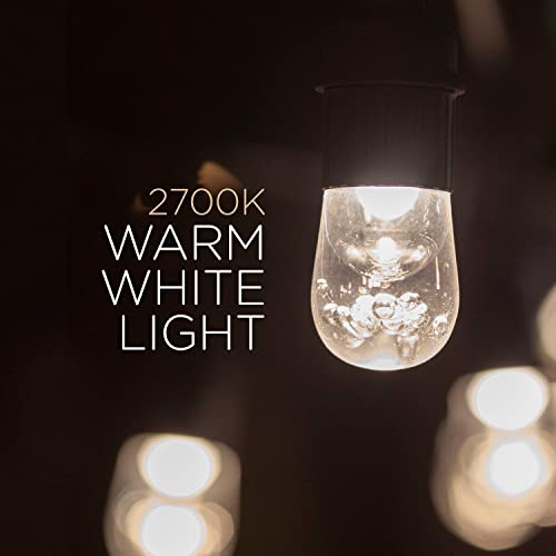 Enbrighten 48ft Outdoor String Lights - 24 White LED Bulbs, Weatherproof