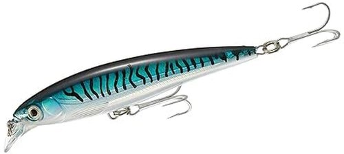 Rapala X-Rap Saltwater Fishing Lure (Silver Blue Mackerel, 5.5-Inch)
