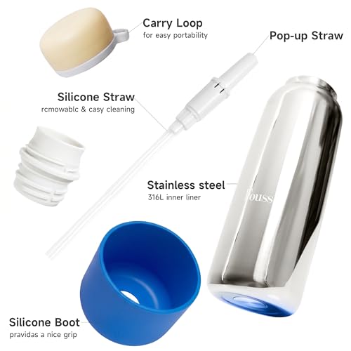 Fouss 19oz Stainless Steel Insulated Water Bottle with Straw - Blue