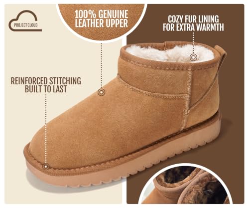Project Cloud Chestnut Leather Fur-Lined Ankle Boots Women 7.5