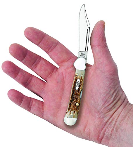 Case XX WR Mini Copperlock Pocket Knife Amber Bone 2.7-inch Lockback with Shield