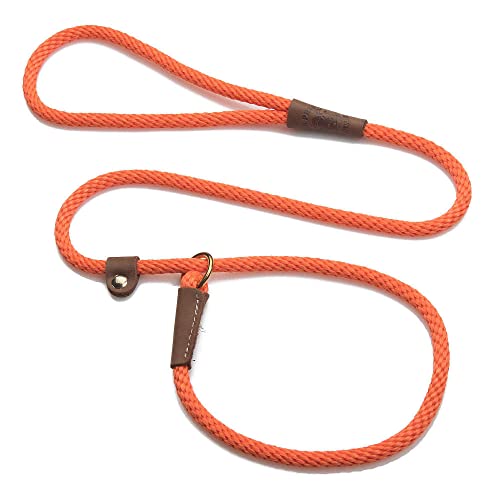 Slip Leash and Collar Combo for Small Dogs - 3/8 in x 6 ft, Orange, Made in USA