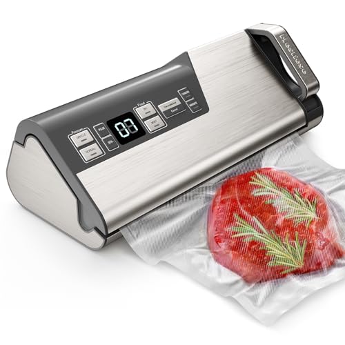 Mesliese Vacuum Sealer with 95kPa Suction, 140W, 20L/min, Silver Gray