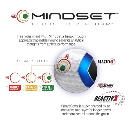 Bridgestone Golf Tour B X MindSet Golf Balls 2 Dozen White - Prior Gen