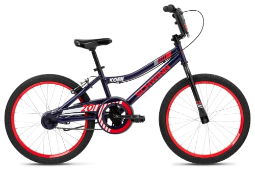 Schwinn 20-Inch Kids Bike for Ages 7-10 with Dual Brakes & Quick Assembly