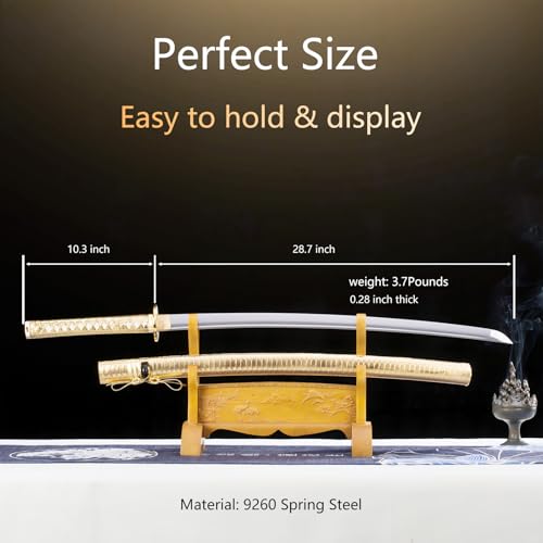 CANGDT Gold Handmade Samurai Katana Sword - 9260 Spring Steel, Full Tang, Practice & Collection