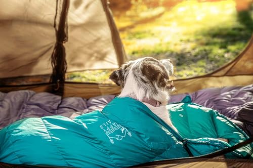 Glacial Blue Ultralight Dog Sleeping Bag - Medium Packable Outdoor Bed