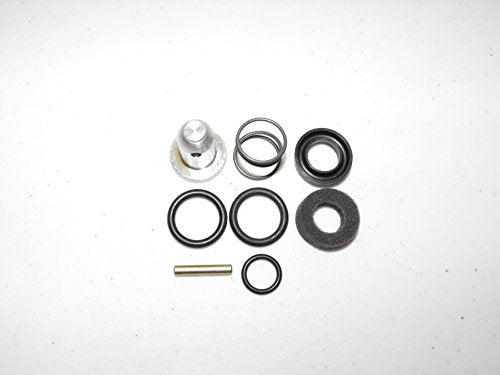 Rebuild Kit with Seals & O-Rings for Daisy 880 35 Models